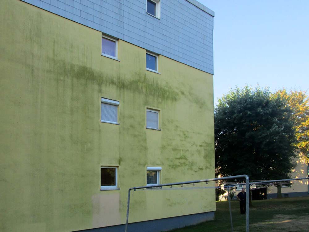 Schmutzige Hausfassade mit Algenbefall